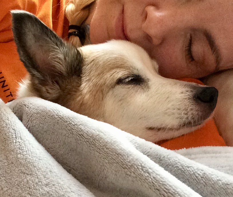 Aji, Ajka, Aji & Me, adoptovaný psík, pes, zviera, strata, člen rodiny, spriaznená duša, adopcia, útulok